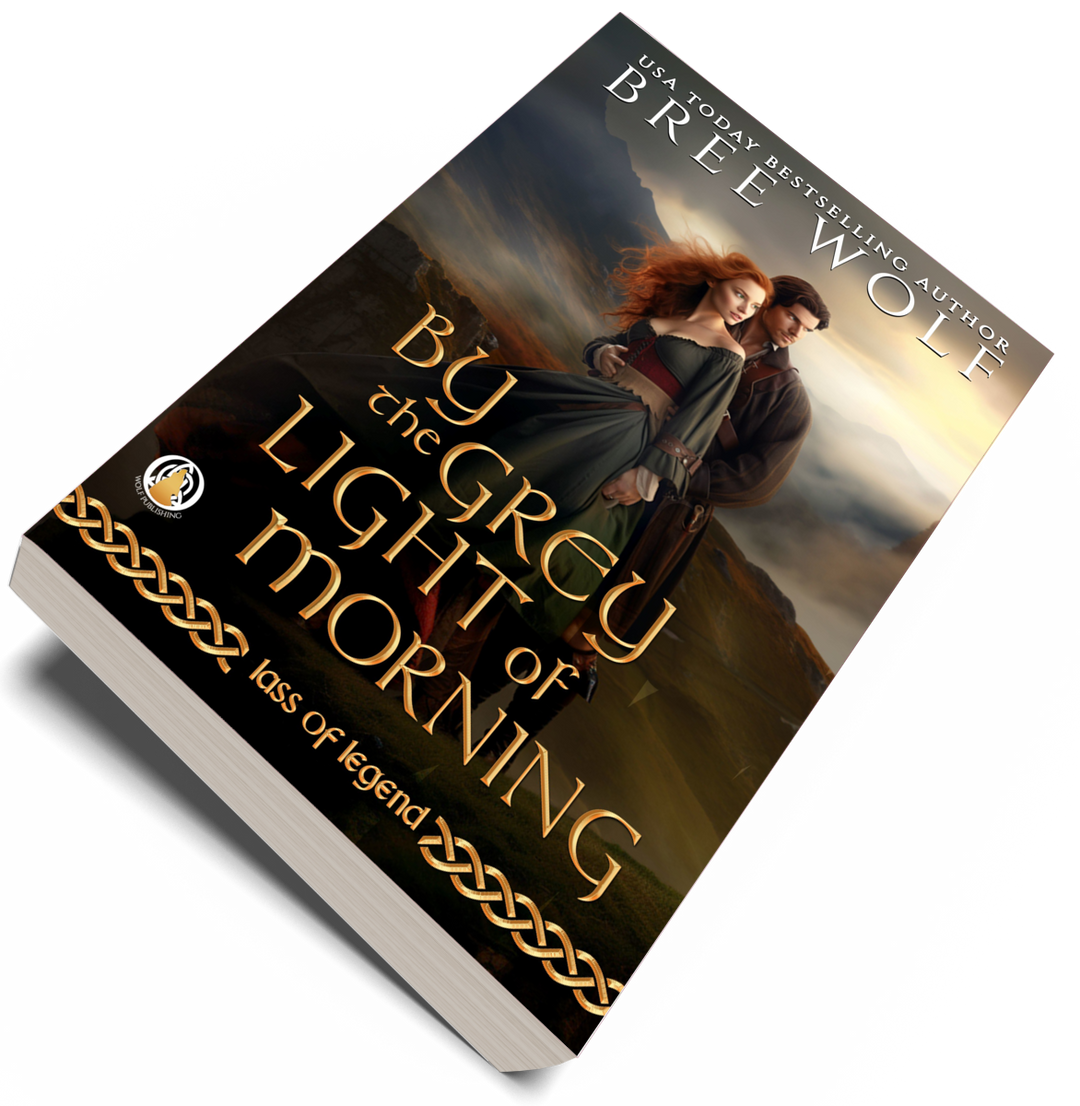 By the Grey Light of Morning: Book 2 (Paperback)